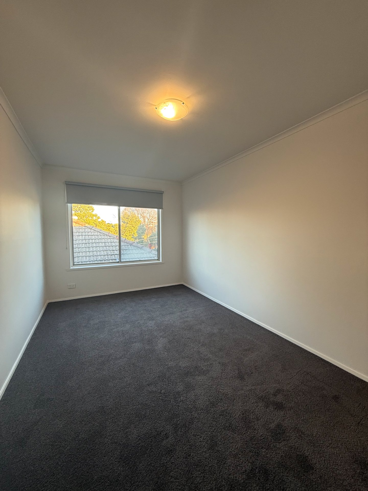 5/1248 Nepean Highway, Cheltenham image 6