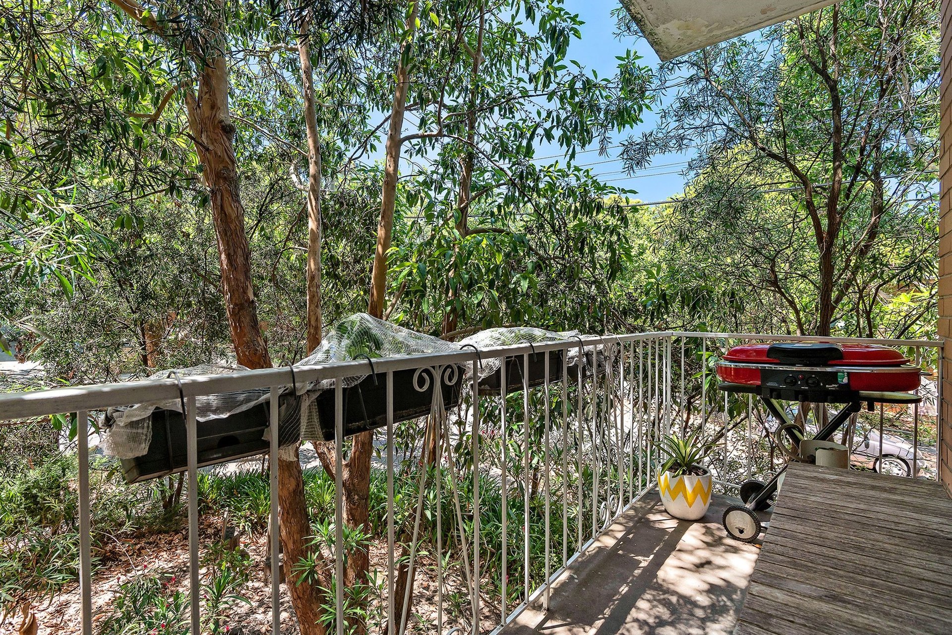 5/16 Auburn Grove, Hawthorn East image 6