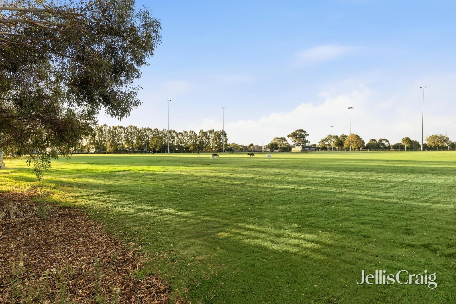 5/197-199 Tucker Road, Bentleigh image 10