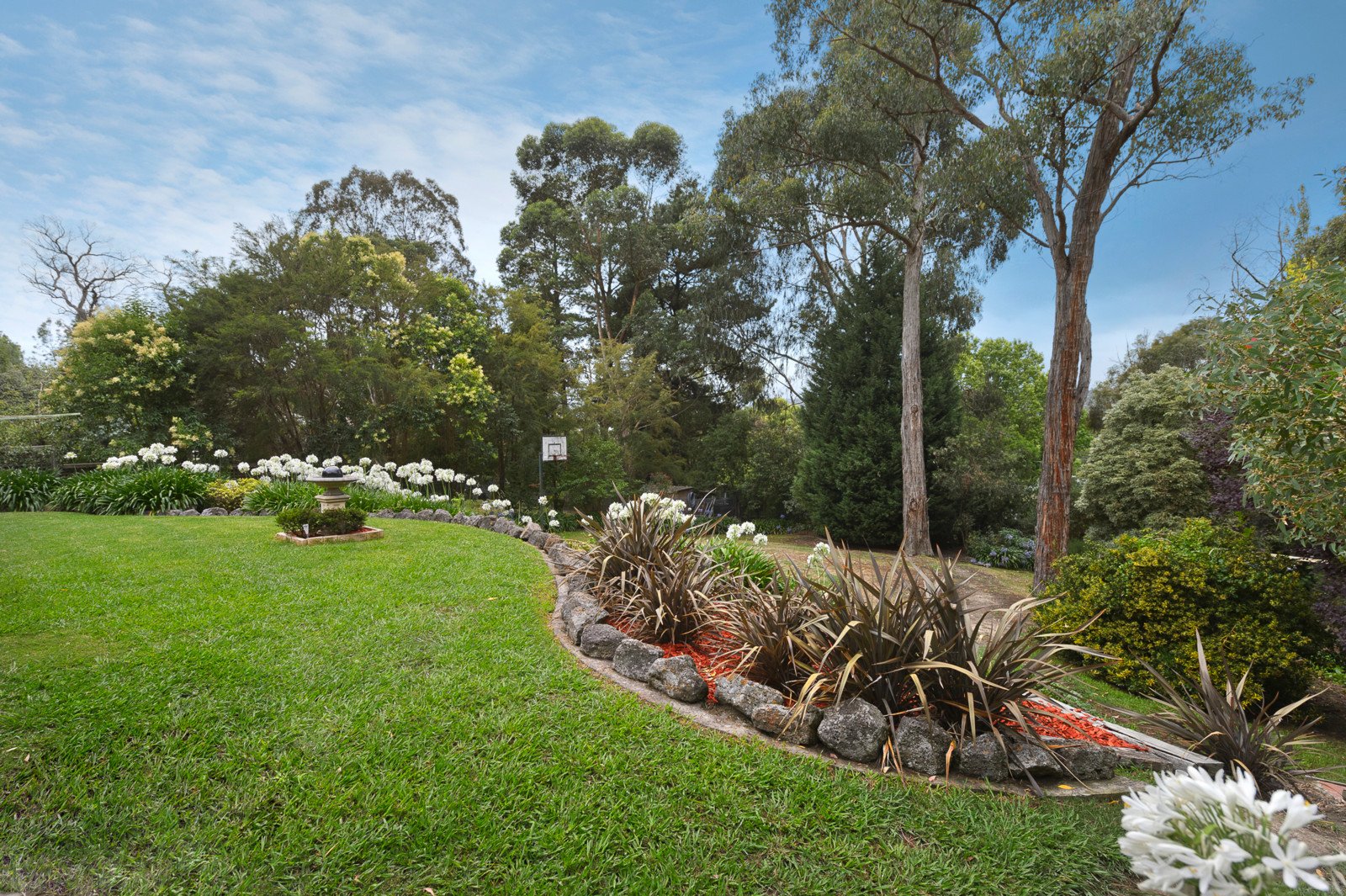 52-54 Fairview Avenue, Croydon North image 9