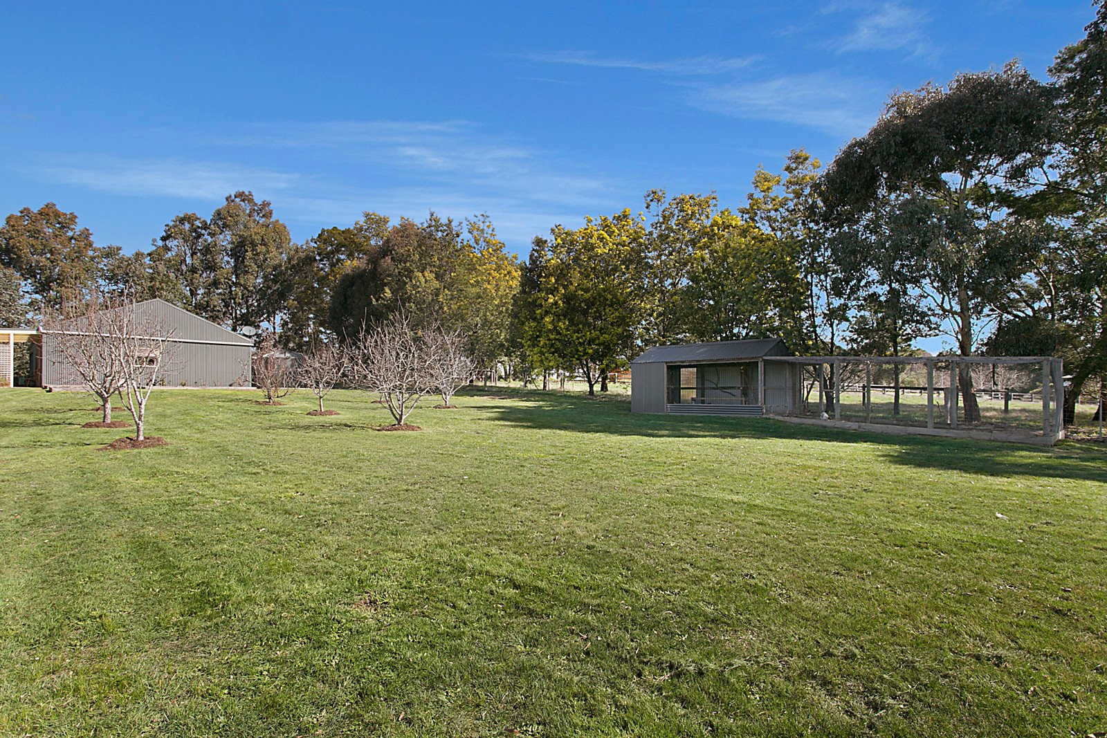 52 Bowyers Road, Woodend image 9