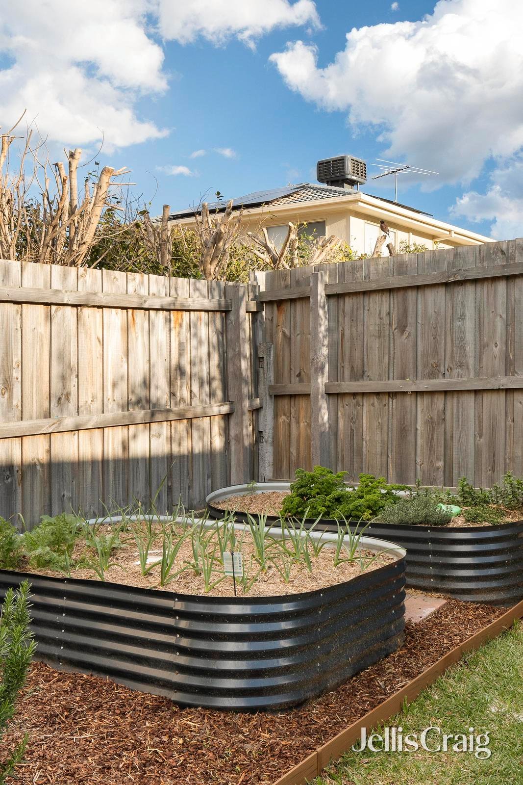 52 Frensham Road, Watsonia image 17