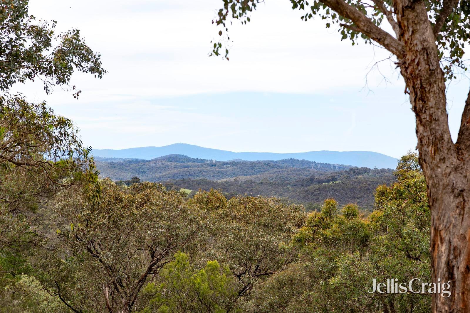 52 Kangaroo Ground Warrandyte Road, North Warrandyte image 22