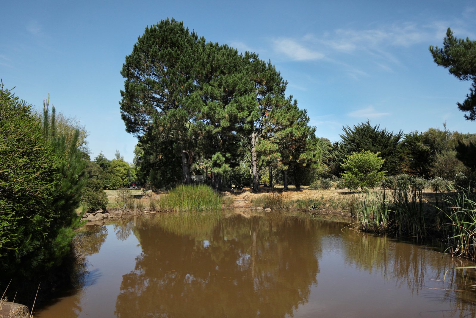 Property Gallery Thumbnail 17