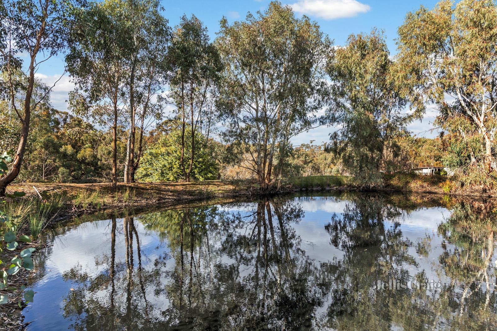 52 Stevens Road, Green Gully image 12