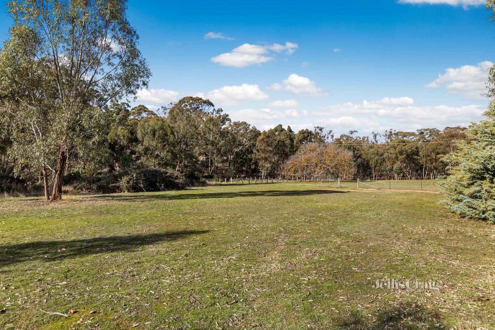 52 Stevens Road, Green Gully image 13