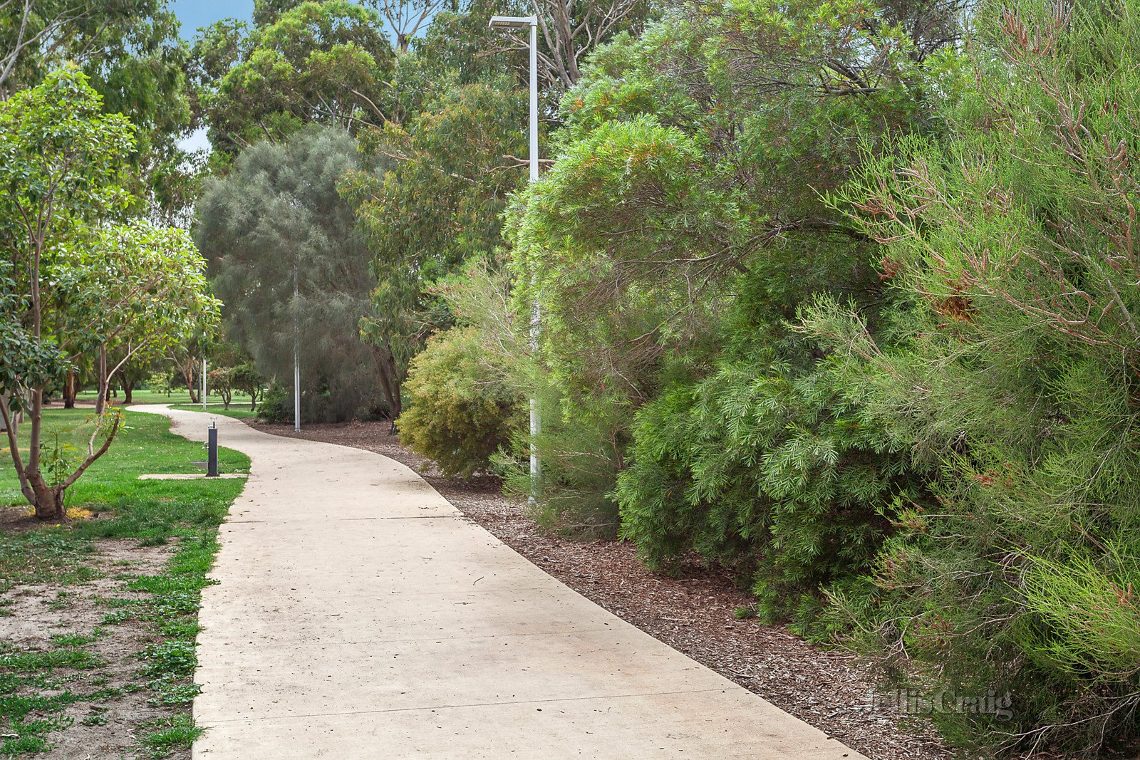 5/26 Barilla Road, Moorabbin image 12