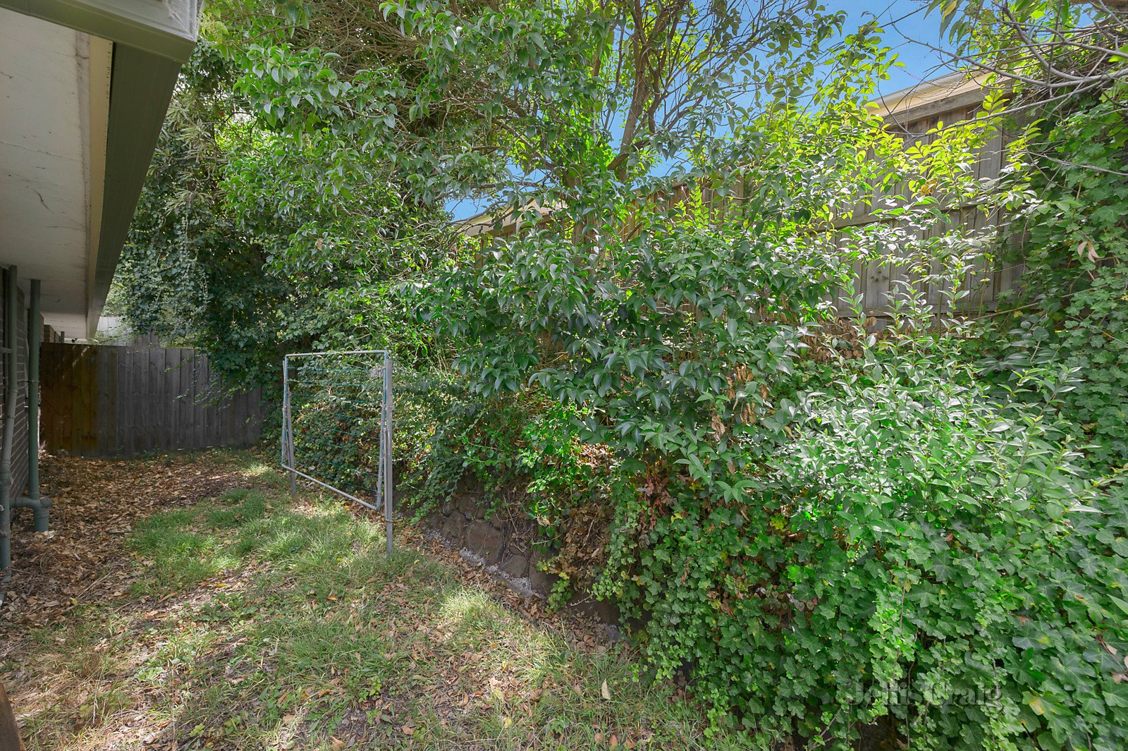 5/26 Florence Road, Surrey Hills image 5