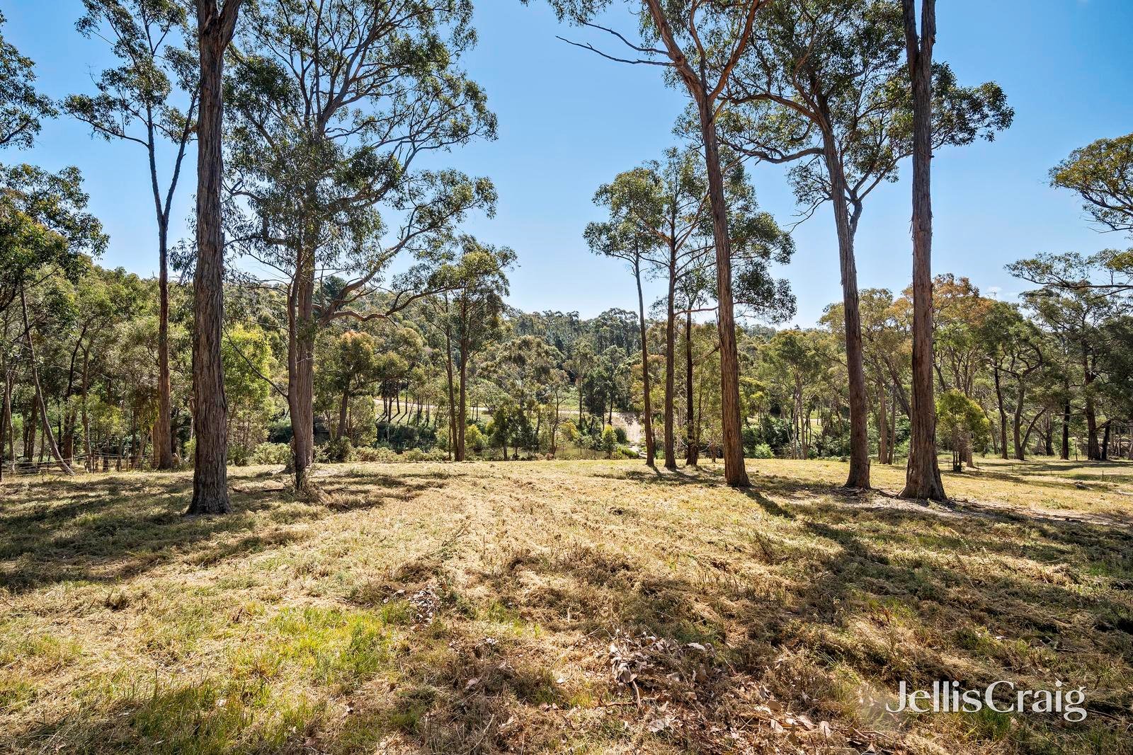 52A Western Avenue, Hepburn image 8
