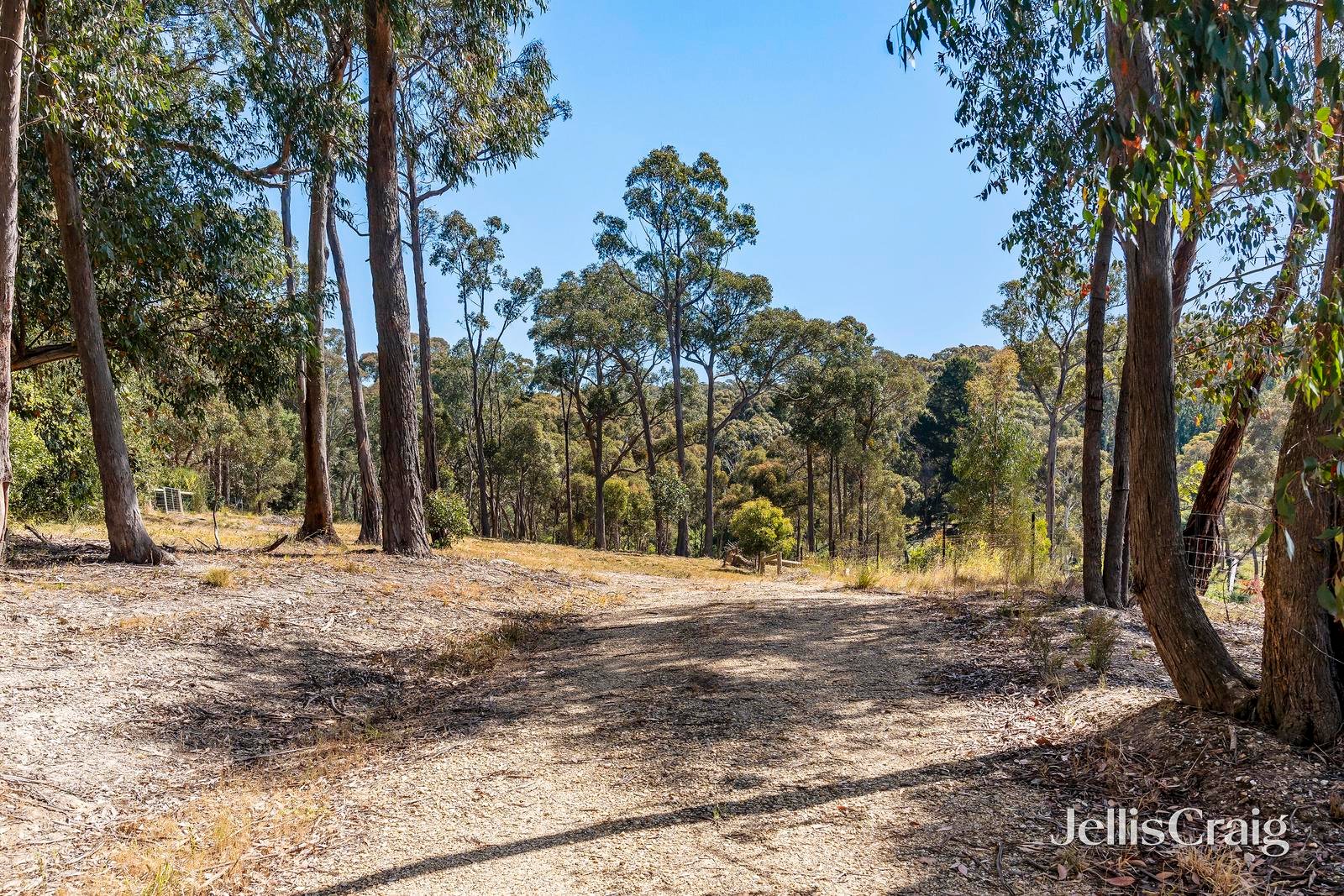 52A Western Avenue, Hepburn image 10