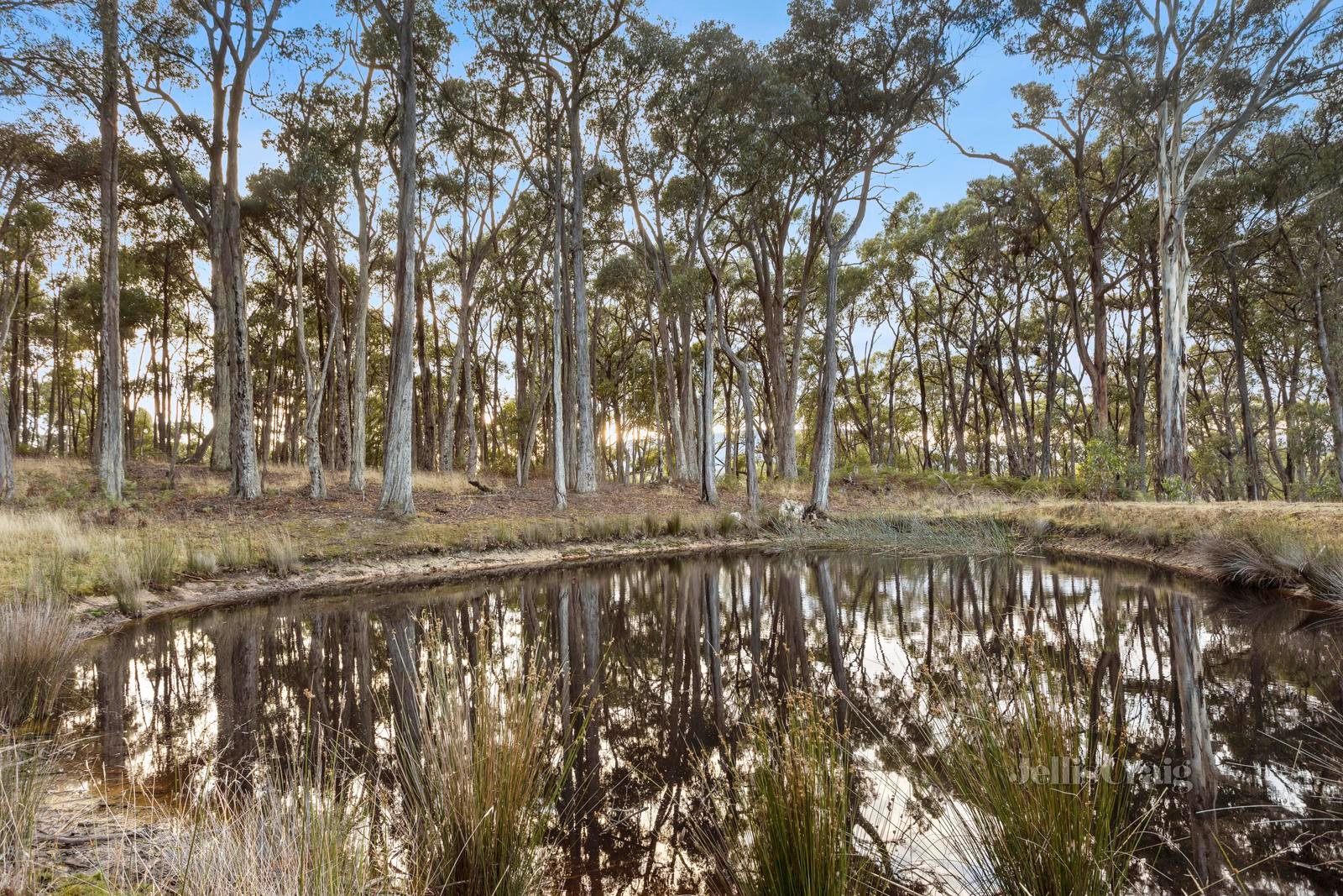 53 Christopher Crescent, Woodend image 3