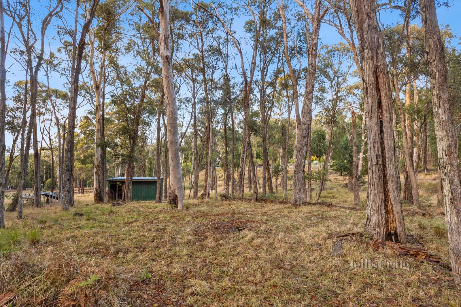 53 Christopher Crescent, Woodend image 4