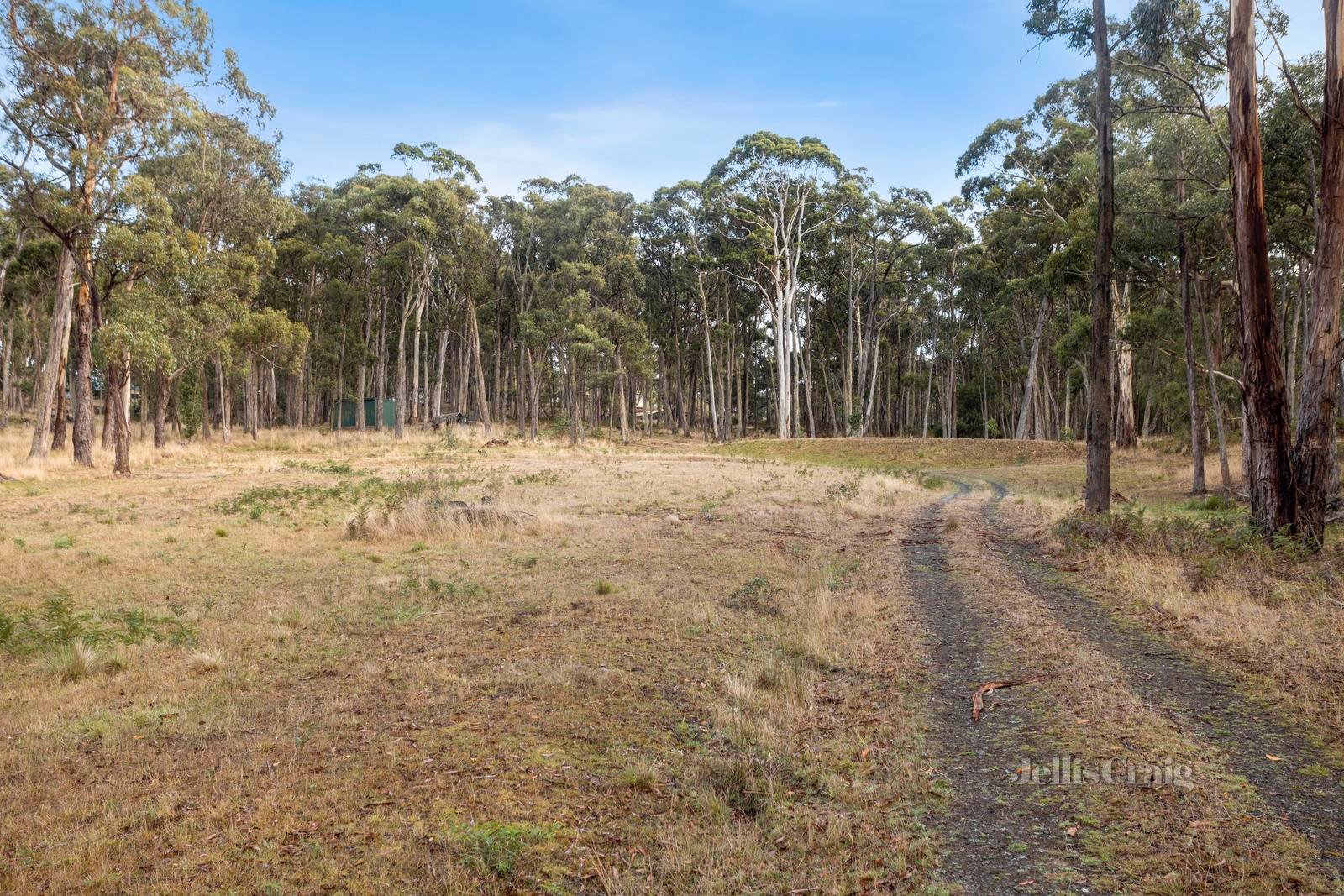 53 Christopher Crescent, Woodend image 8