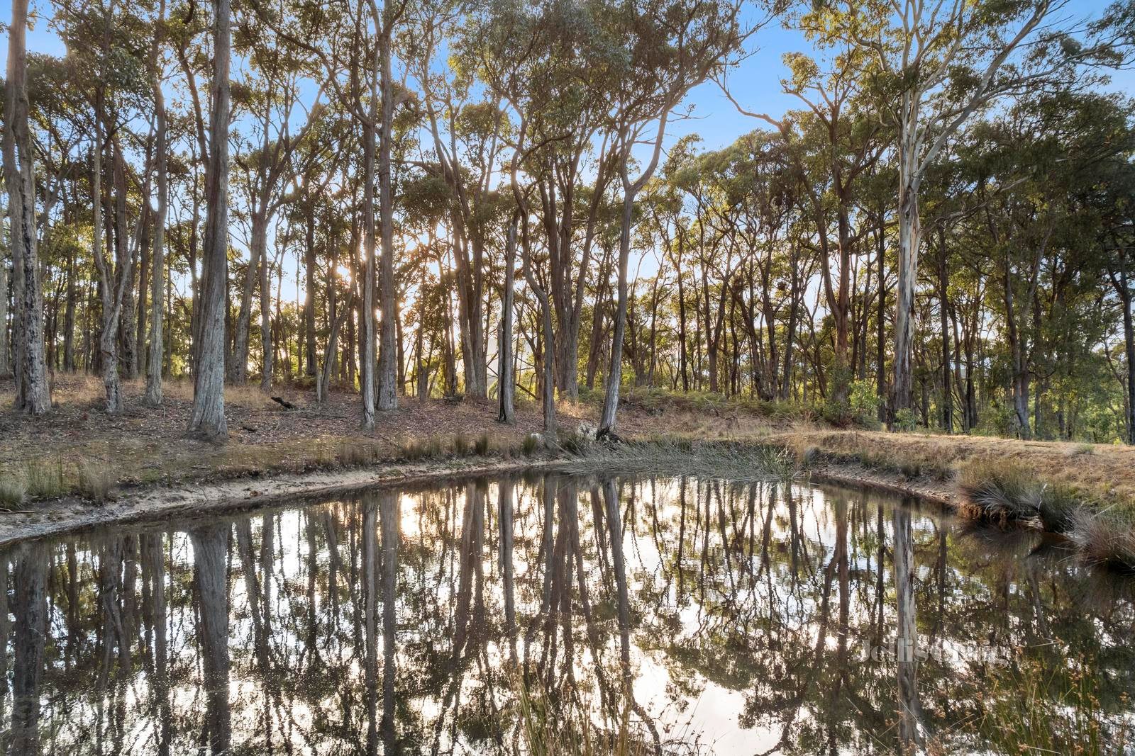 53 Christopher Crescent, Woodend image 10