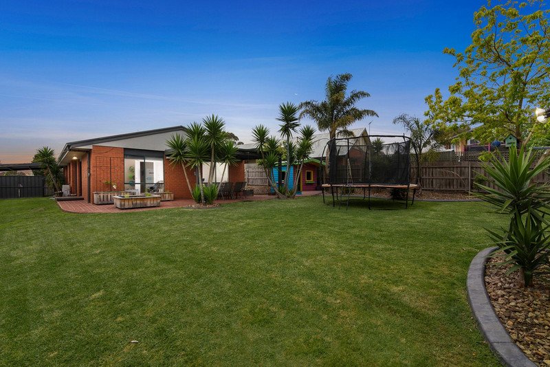 53 Dorothy Crescent, Mornington image 1