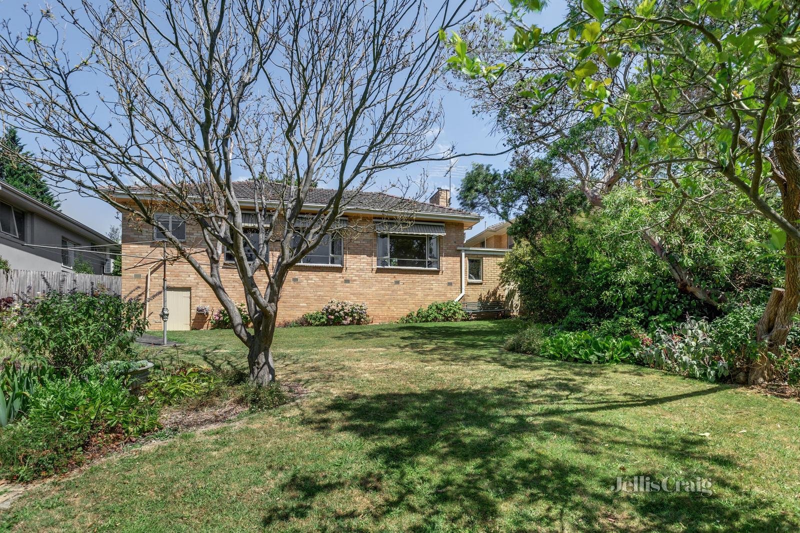 53 Greythorn Road, Balwyn North image 6