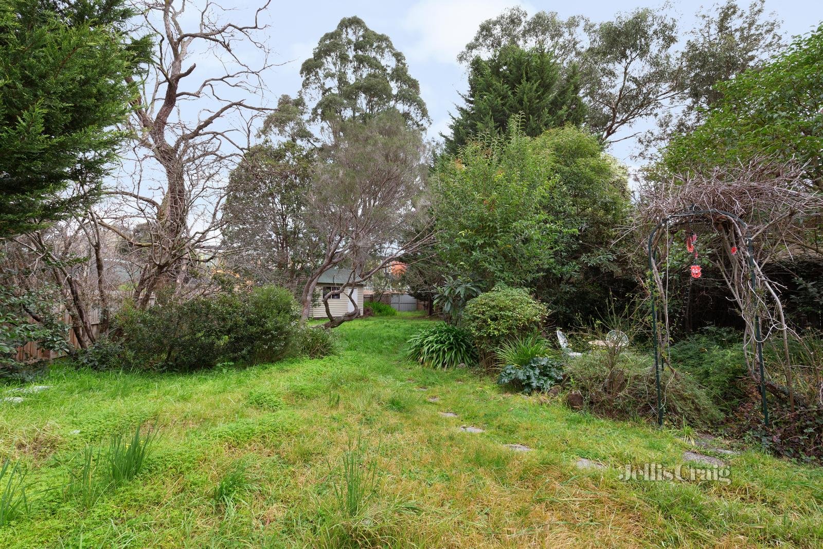 53 Grove Road, Rosanna image 11