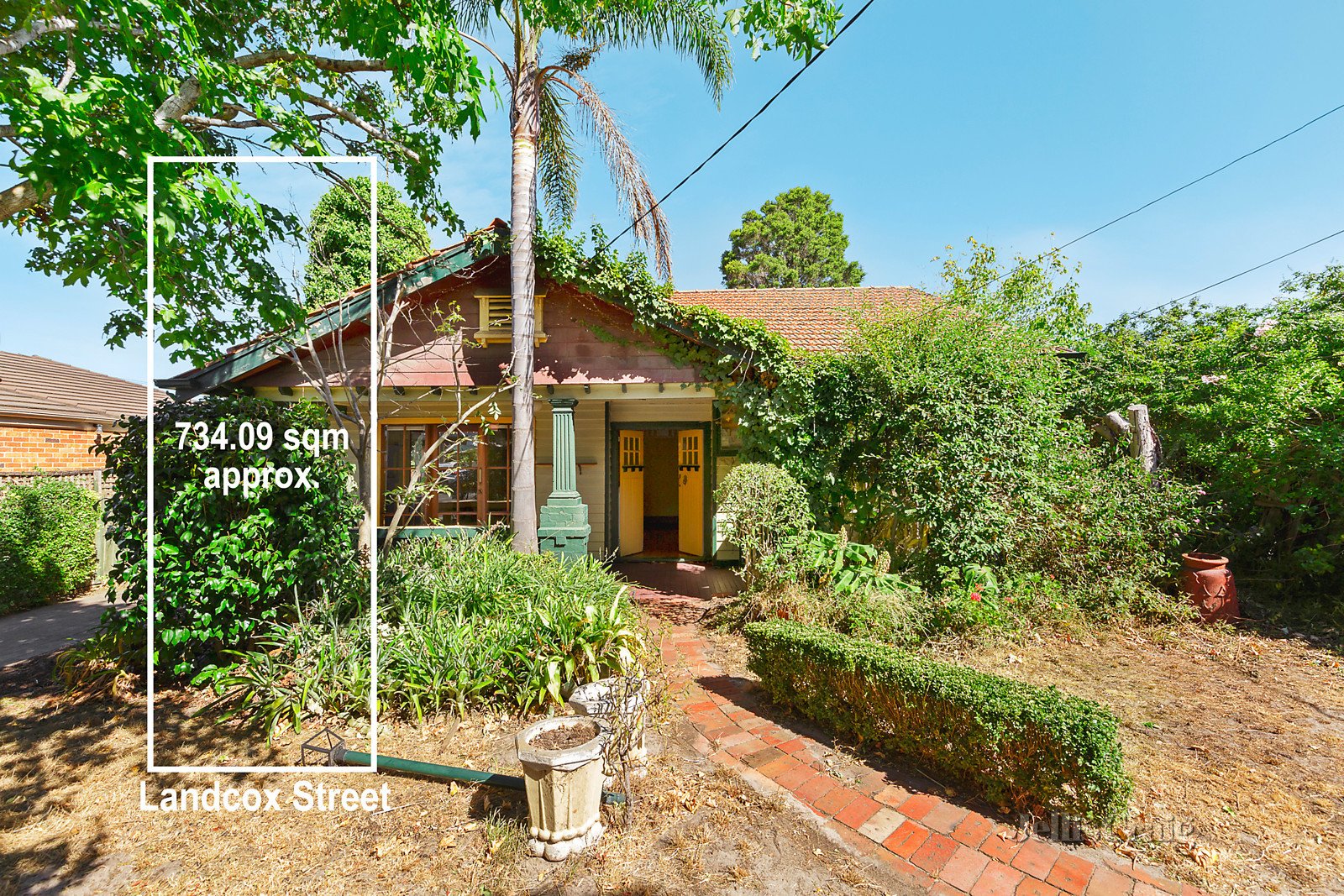 53 Landcox Street, Brighton East image 1