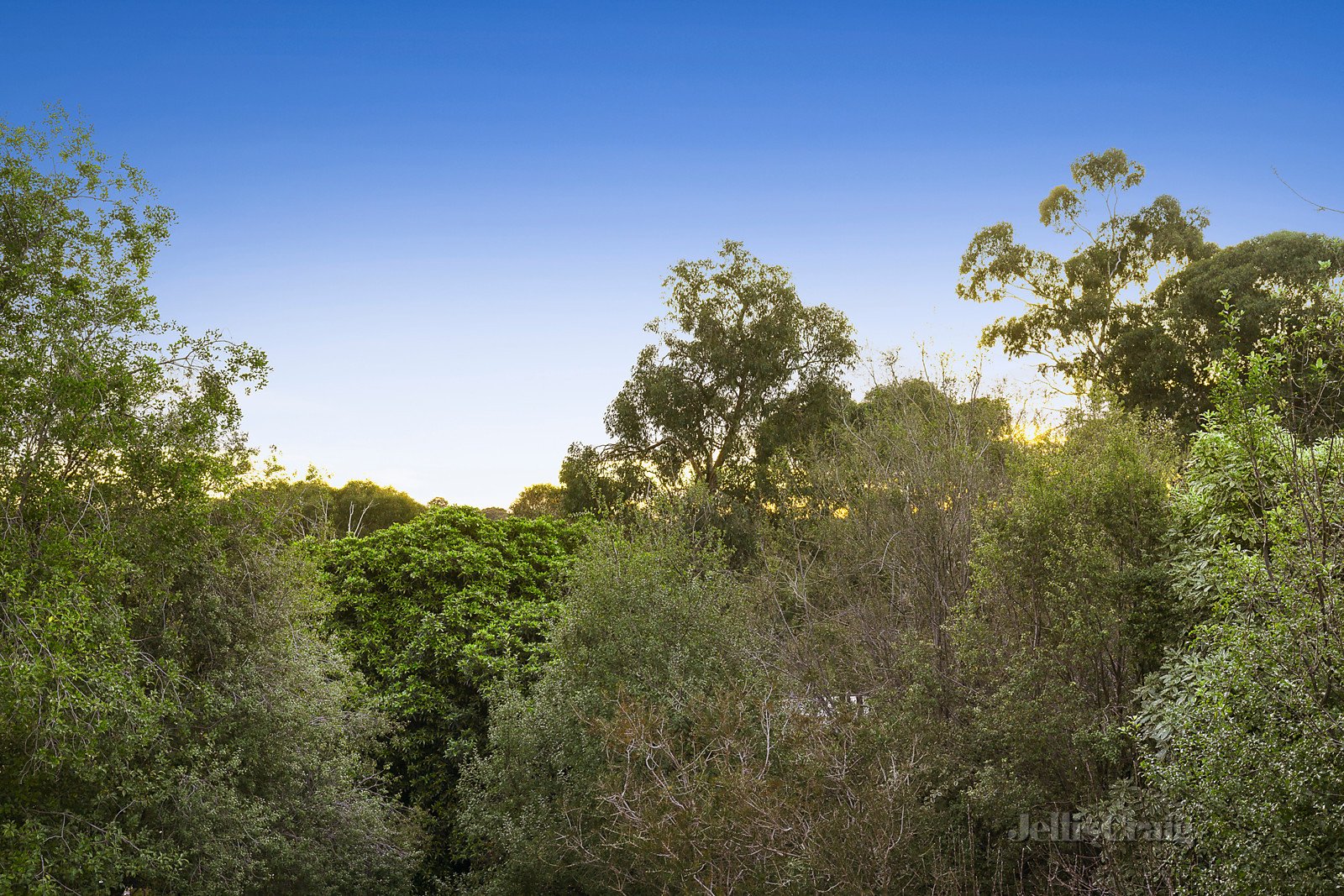 53 Malabar Crescent, Eltham image 8