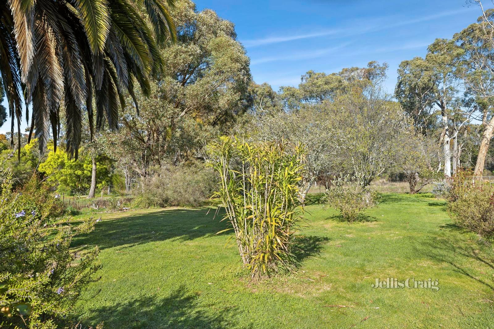 53 Railway Road, Elphinstone image 9