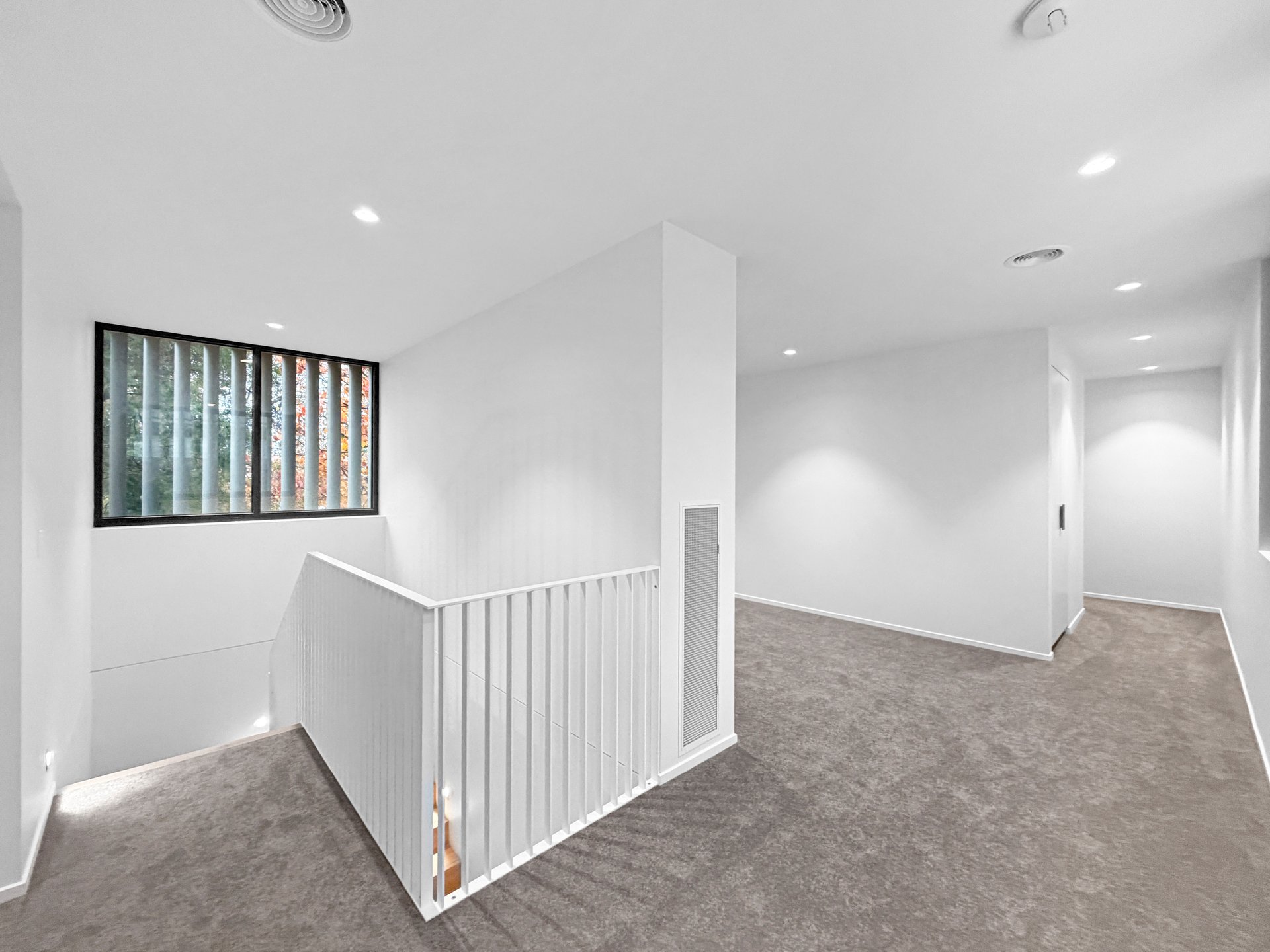 53 Virginia Street, Newtown image 10