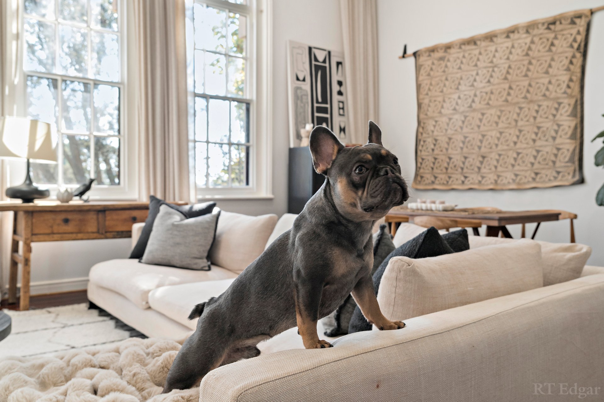 Property Gallery Thumbnail 11