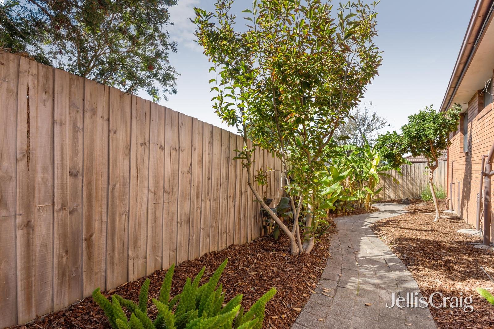 5/343 George Street, Doncaster image 10