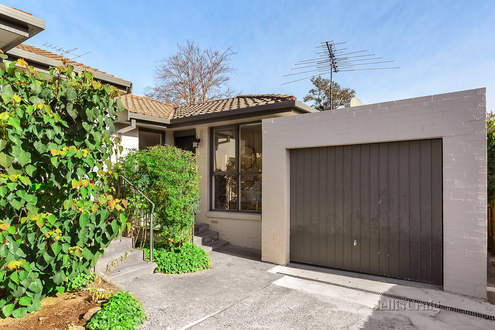 5/36 Florence Road, Surrey Hills image 8