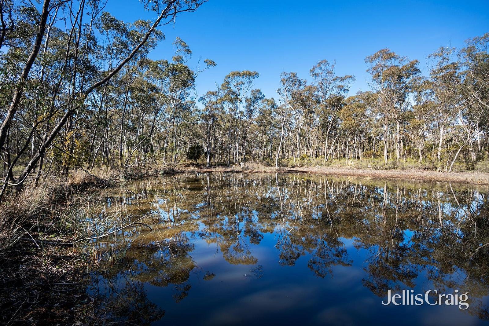 536 Muckleford-Castlemaine Road, Muckleford image 3
