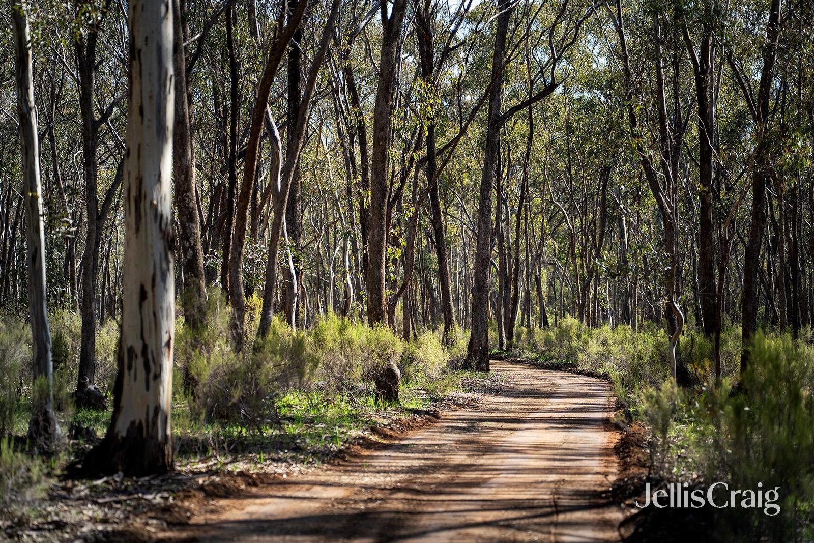 536 Muckleford-Castlemaine Road, Muckleford image 5