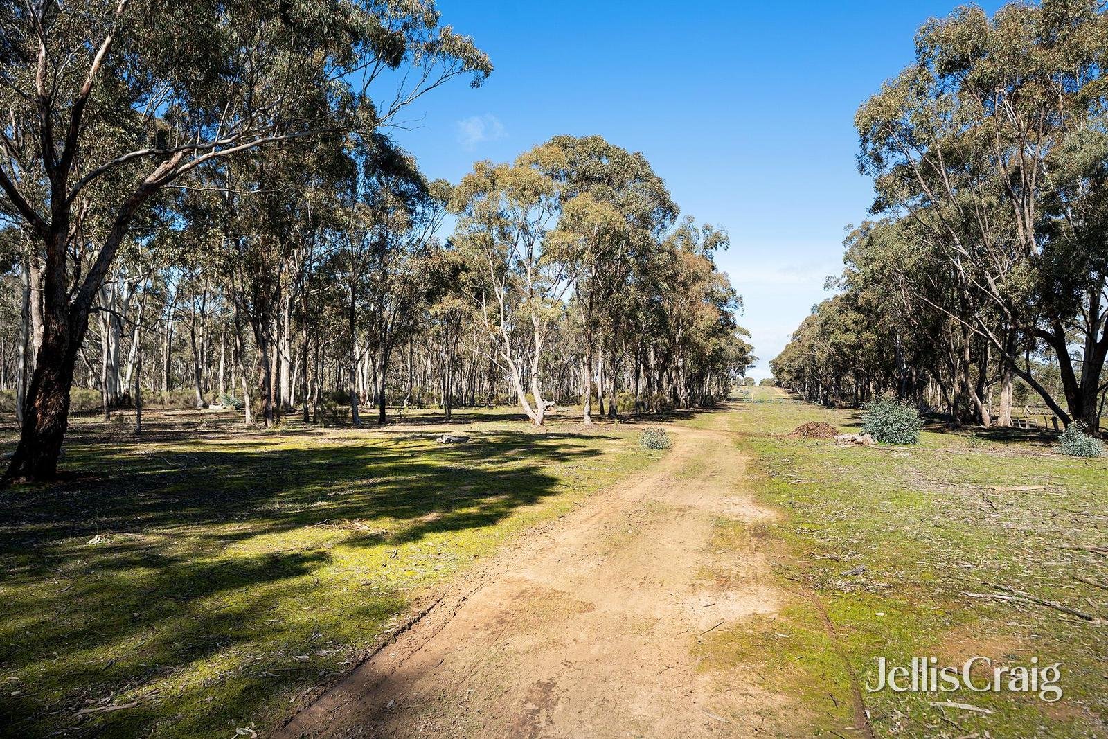536 Muckleford-Castlemaine Road, Muckleford image 6