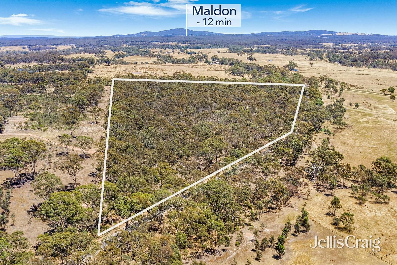 536 Muckleford-Castlemaine Road, Muckleford image 7