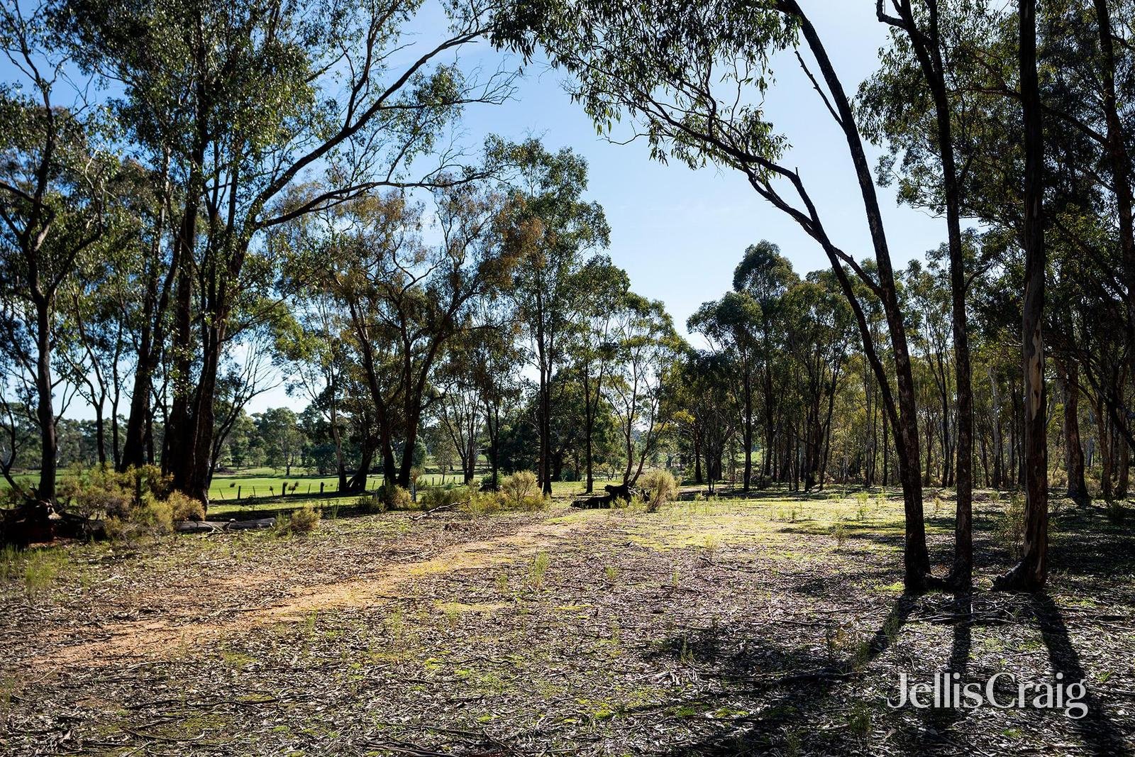 536 Muckleford-Castlemaine Road, Muckleford image 8