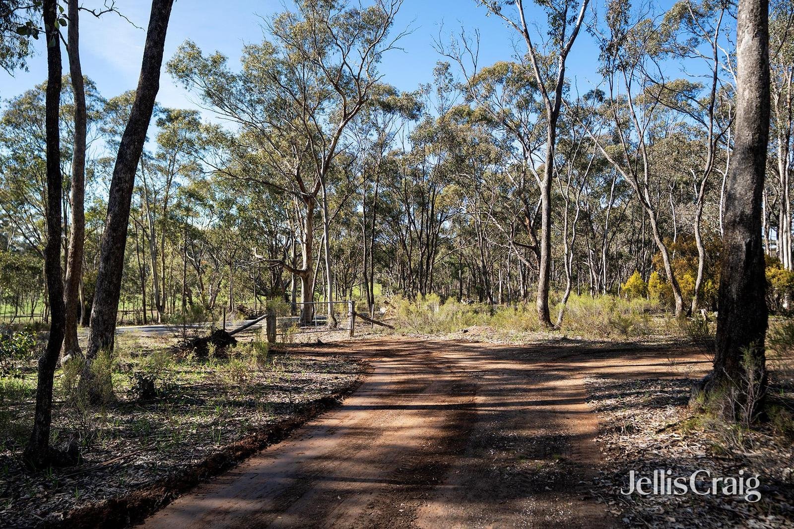 536 Muckleford-Castlemaine Road, Muckleford image 10