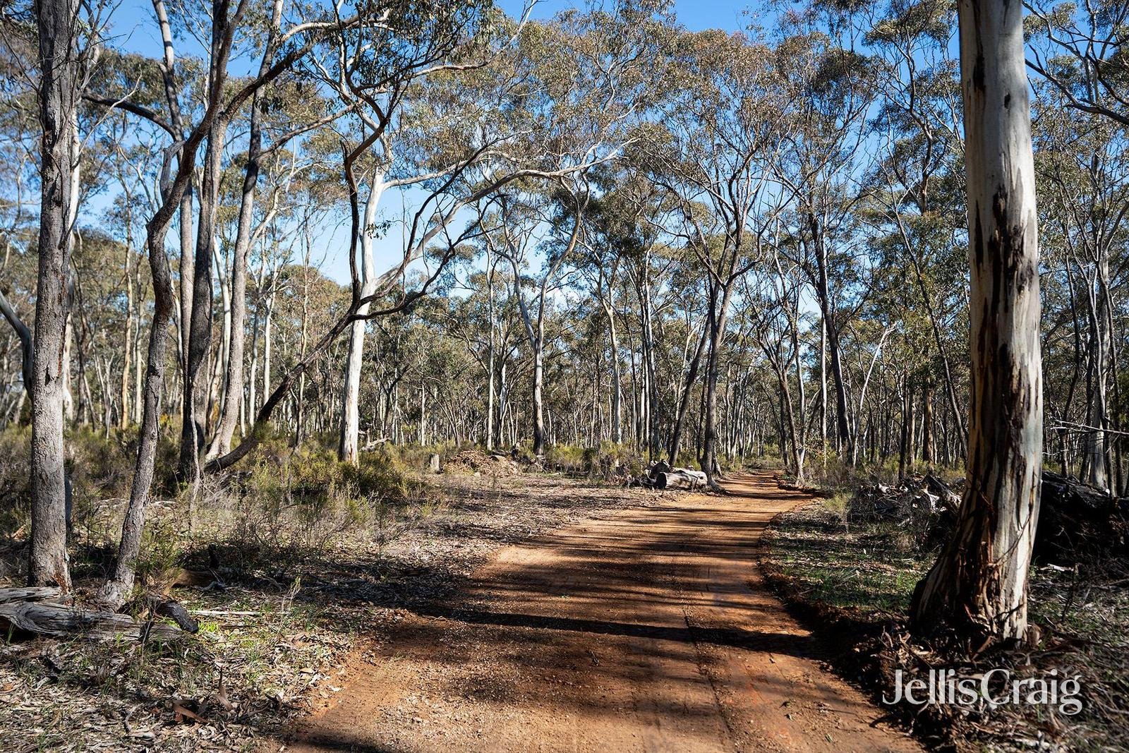 536 Muckleford-Castlemaine Road, Muckleford image 11