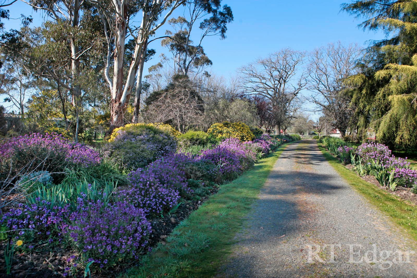 Property Gallery Thumbnail 4