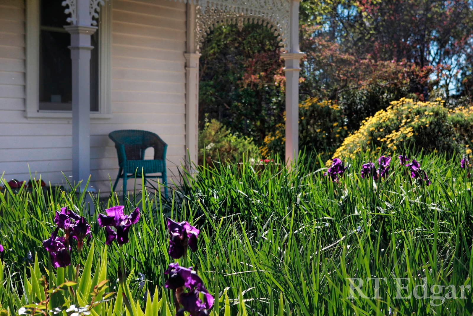 Property Gallery Thumbnail 5