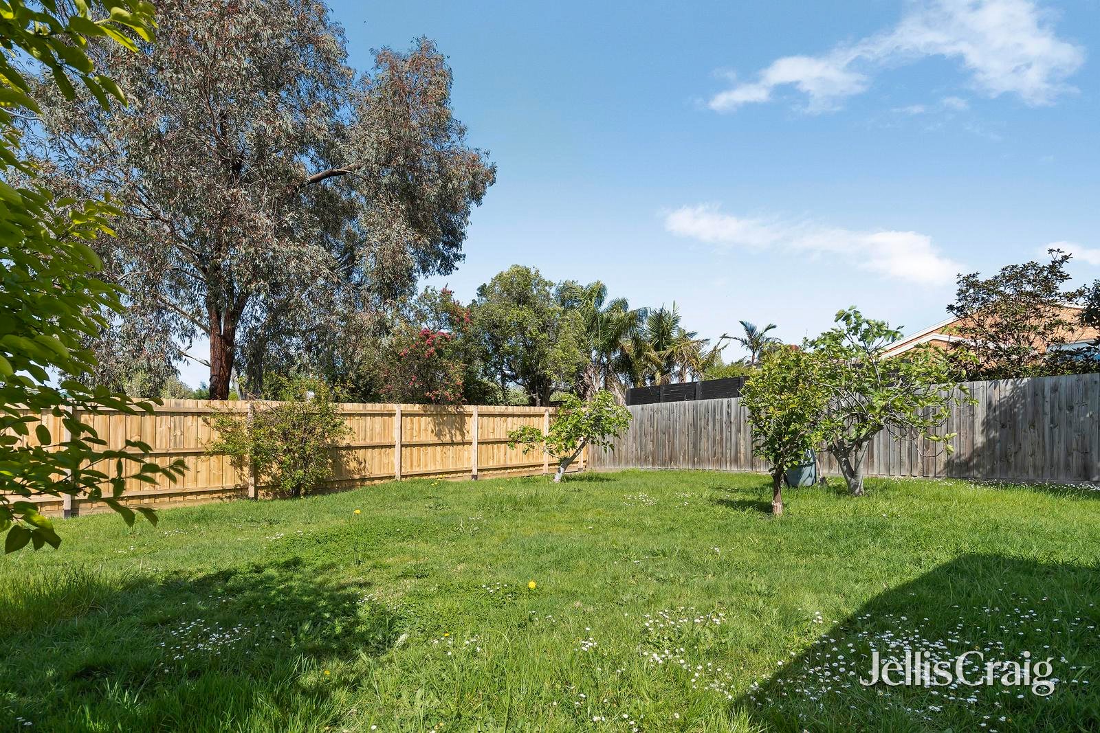 54 Anthony Drive, Chirnside&nbsp;Park image 12