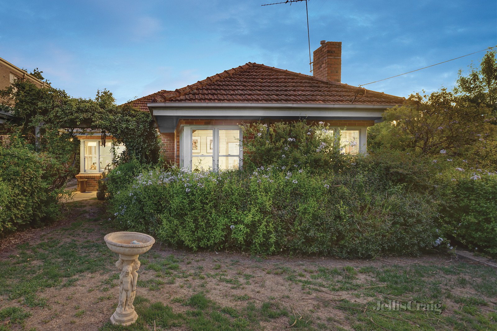 54 Birdwood Street, Balwyn image 5