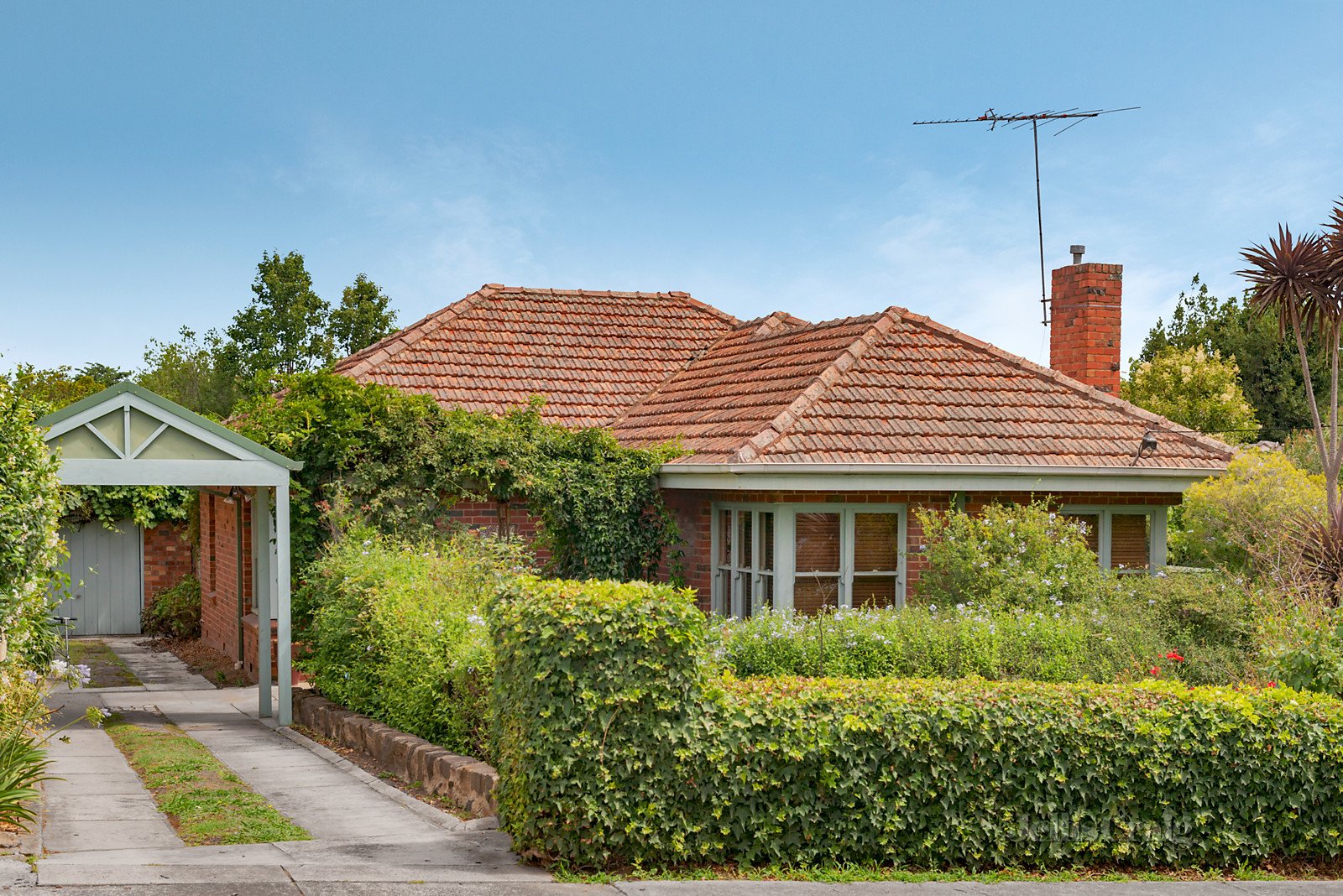 54 Birdwood Street, Balwyn image 6