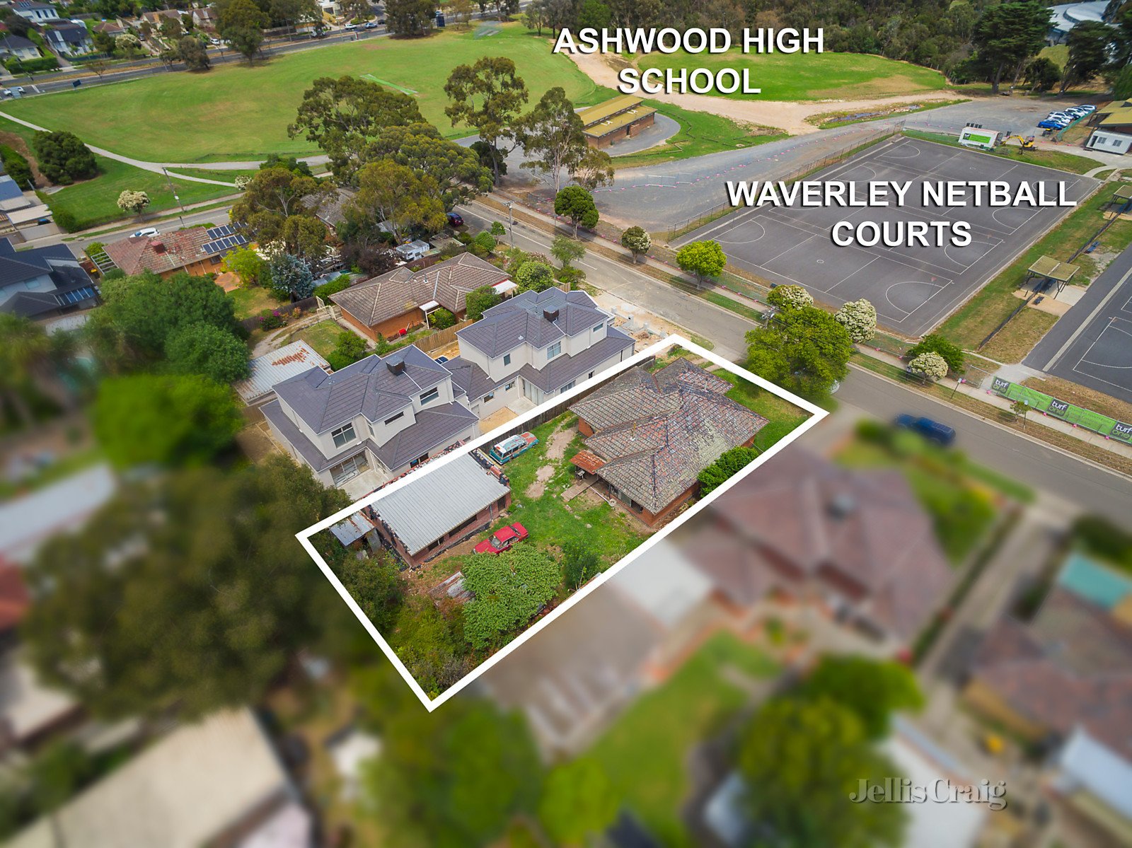 54 Cassinia Avenue, Ashwood image 3