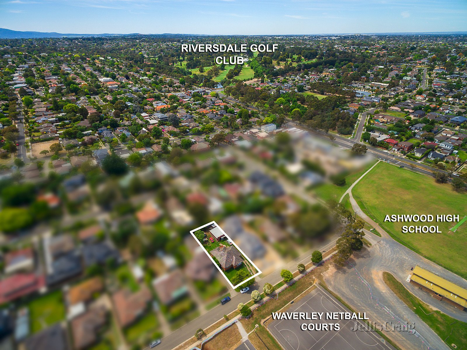 54 Cassinia Avenue, Ashwood image 5
