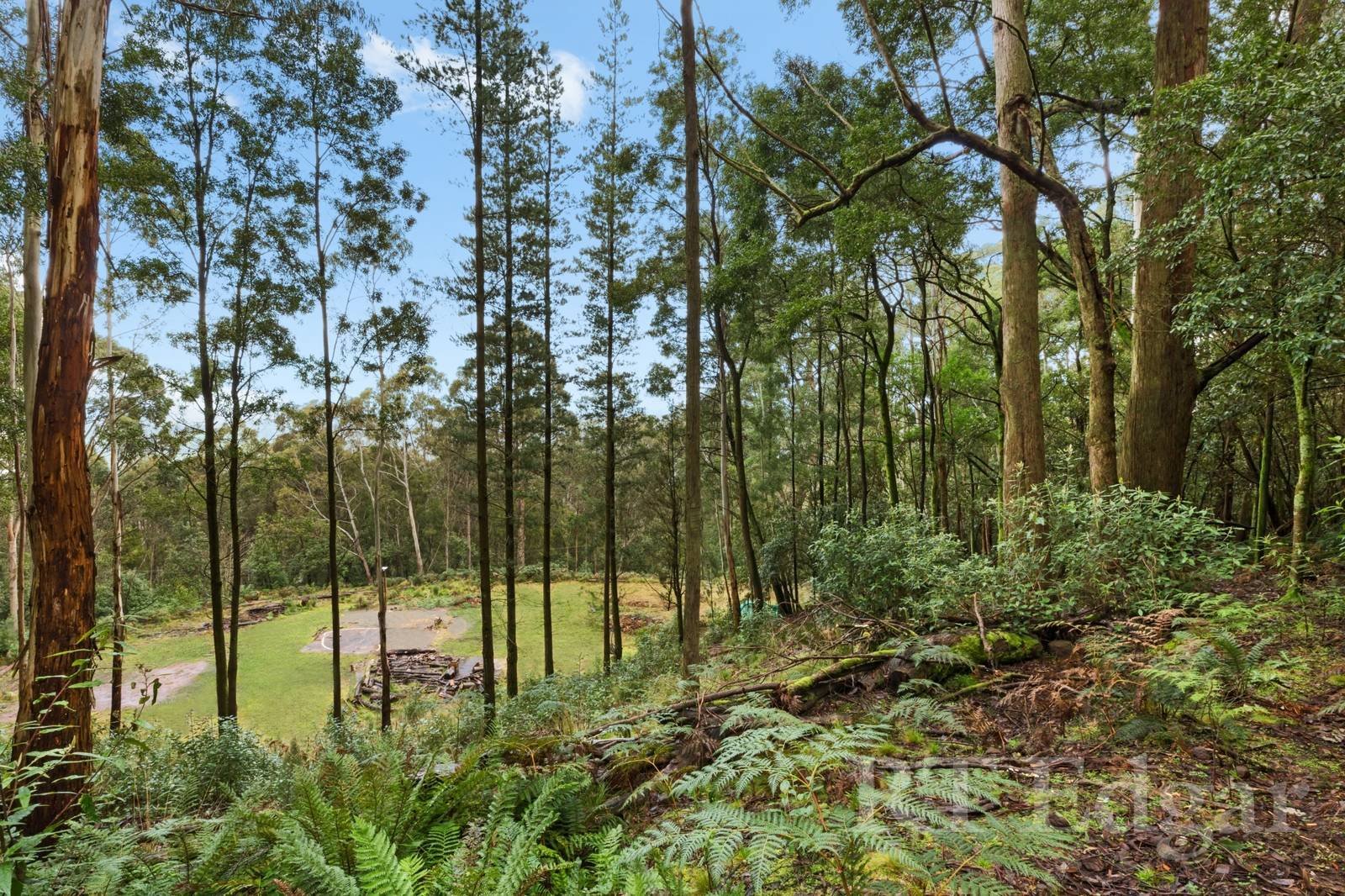 Property Gallery - Main Image