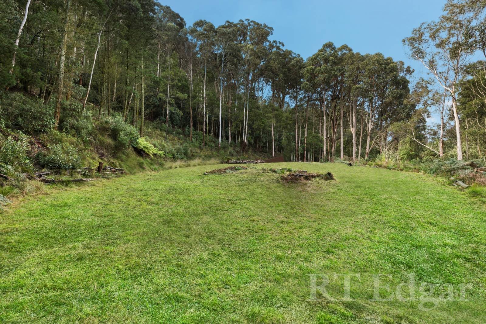 Property Gallery Thumbnail 4