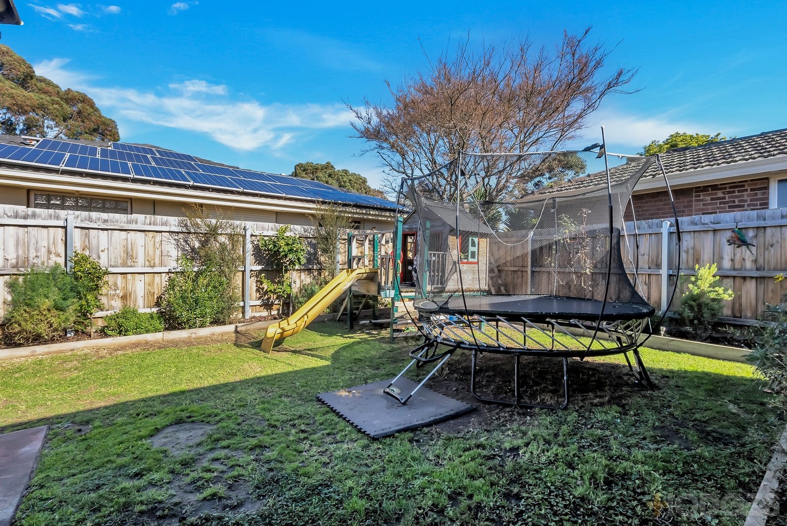 54 Nancy Street Cheltenham