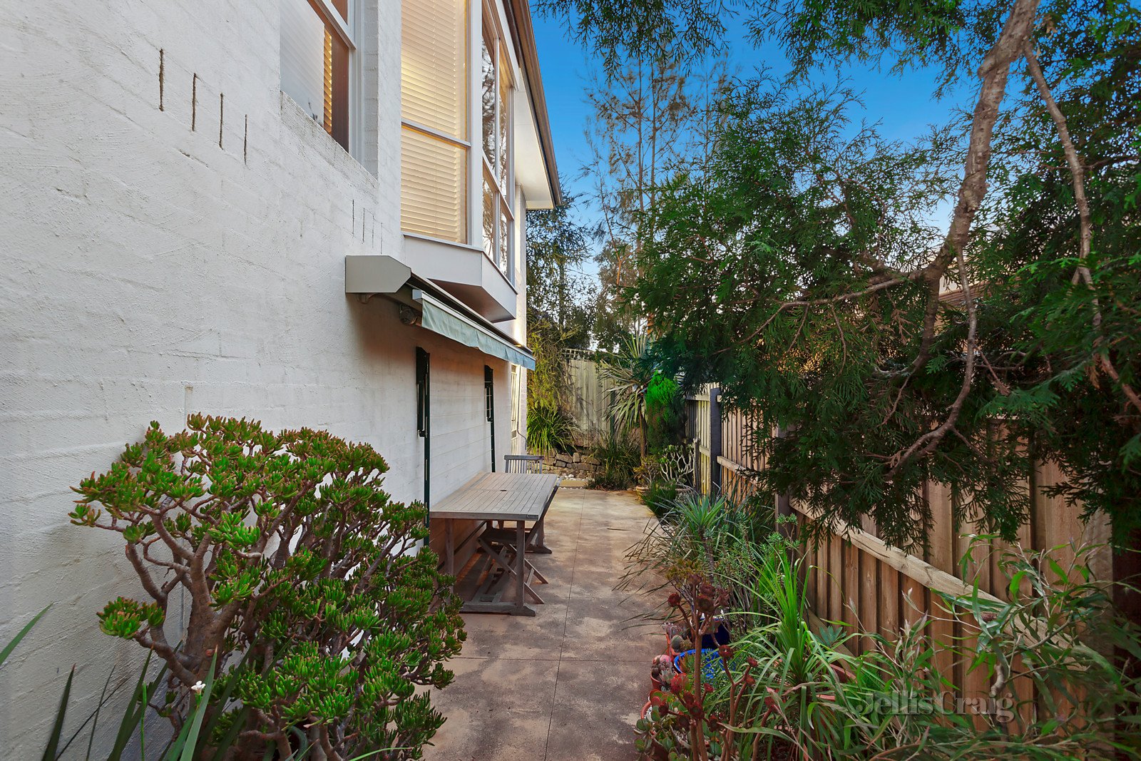 54 Outlook Drive, Camberwell image 10