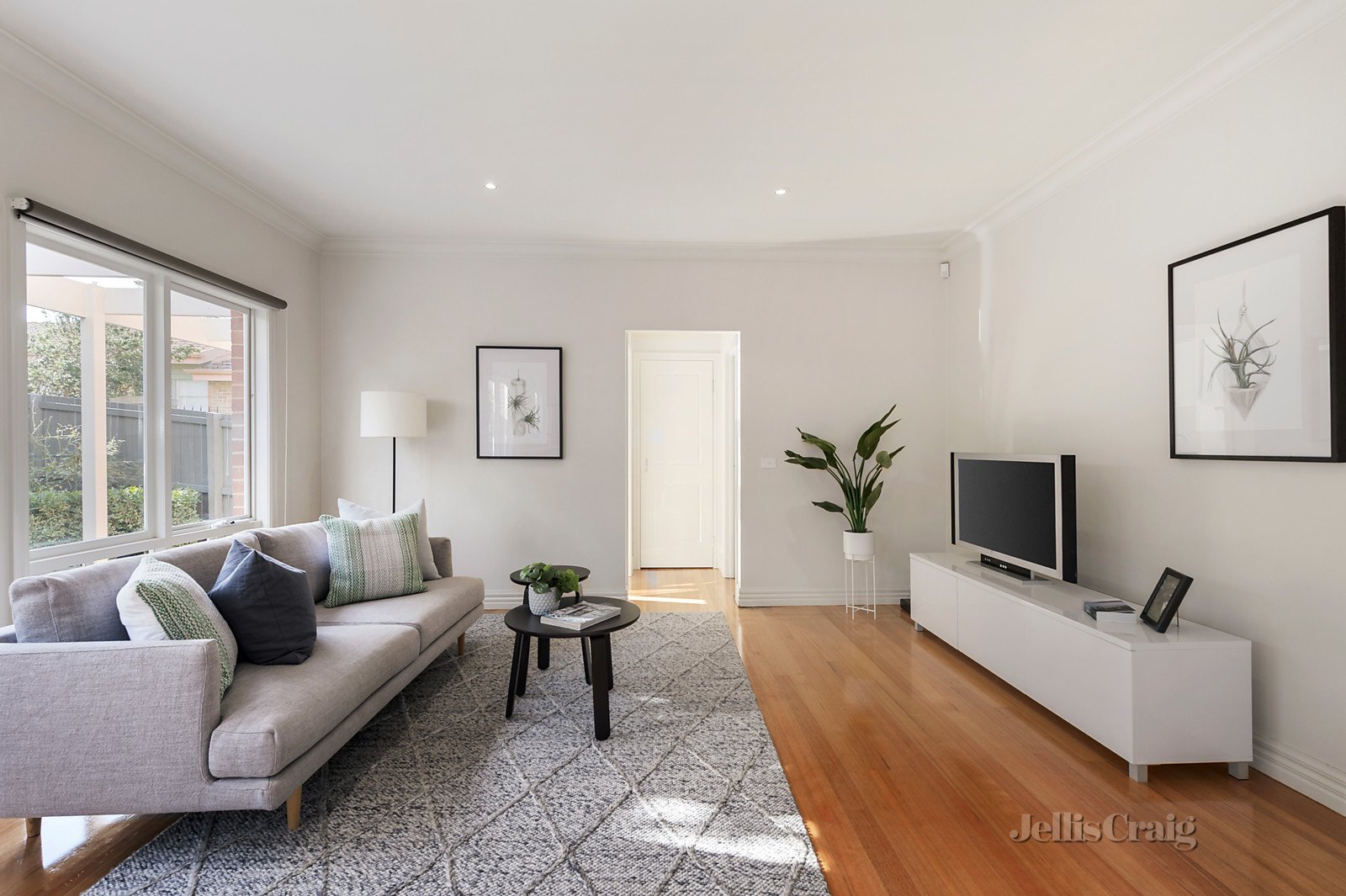 543a Whitehorse Road, Surrey Hills image 6