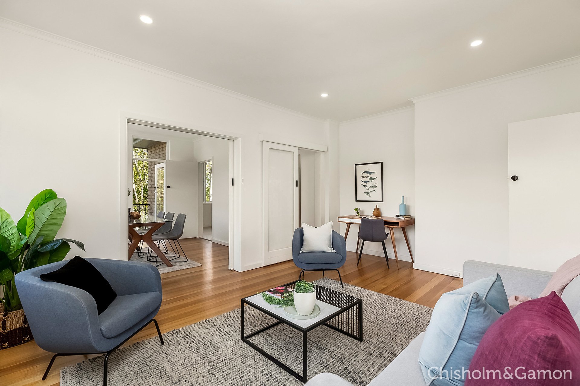 5/445 St Kilda Street, Elwood image 1