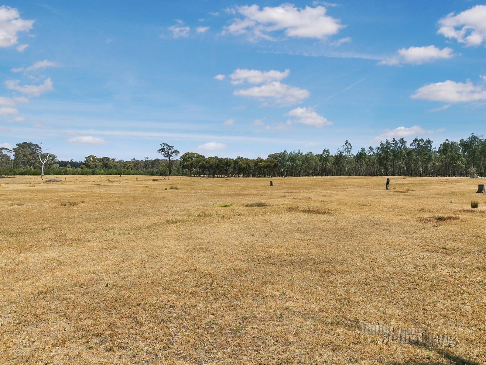 549 Fogartys Gap Road, Walmer image 3