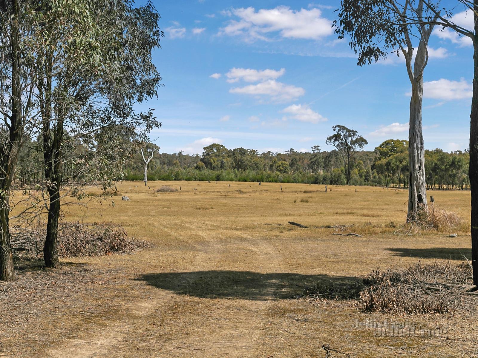 549 Fogartys Gap Road, Walmer image 5